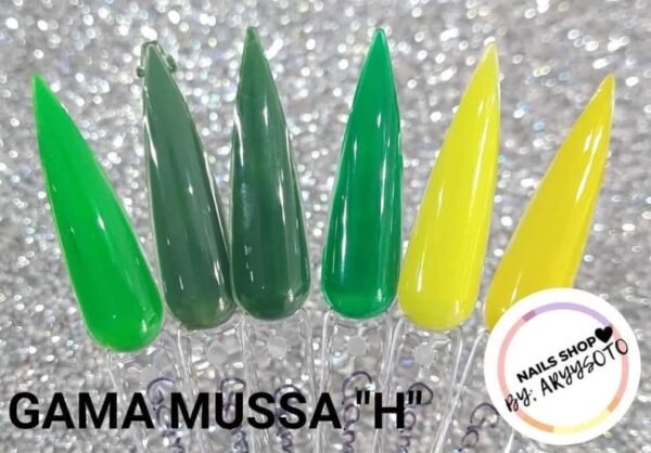 GAMA MUSSA H